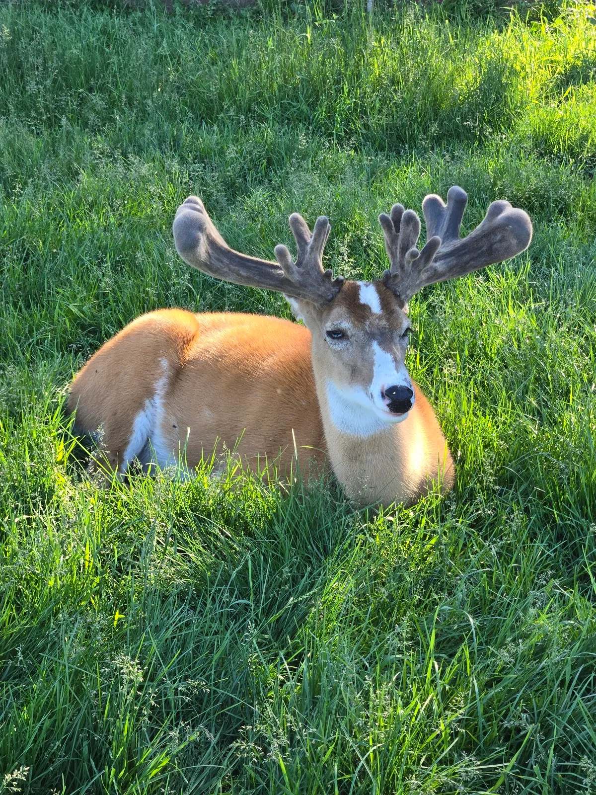 Rustic Retreat Deer Park LLC — photo 1