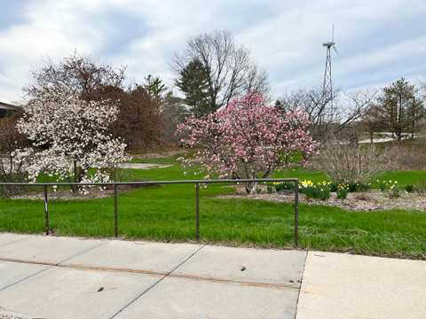 Milwaukee Area Technical College Mequon Campus — photo 3
