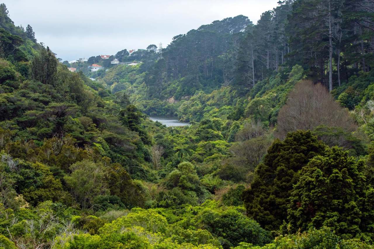 Zealandia Te Māra a Tāne — photo 2