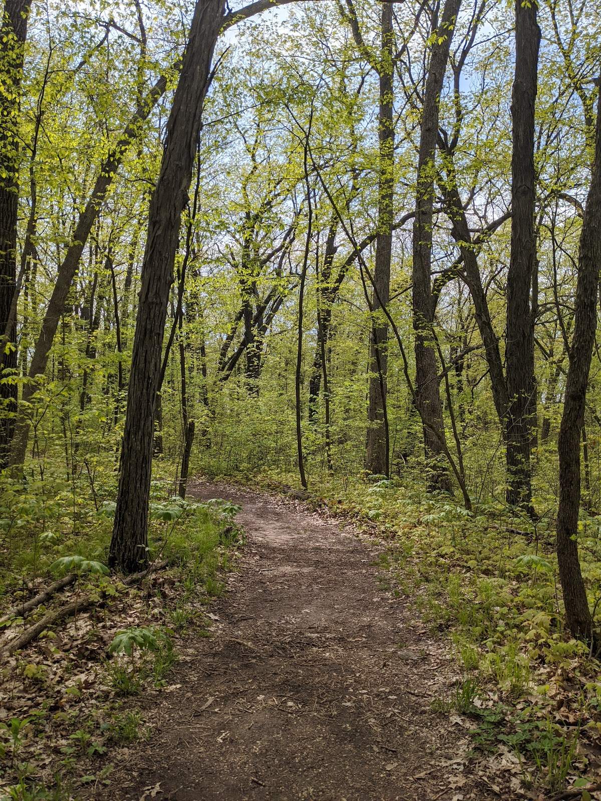 Ice Age Trail - Milwaukee River Segment — photo 1