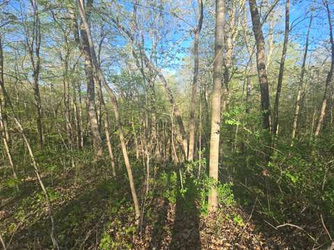 Ice Age Trail - Milwaukee River Segment — photo 2