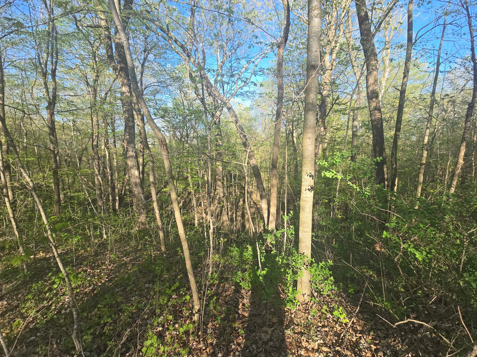 Ice Age Trail - Milwaukee River Segment — photo 2